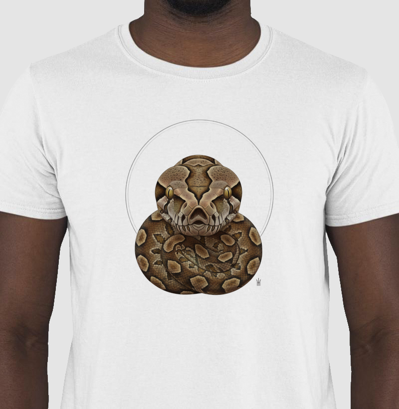 Animais de Poder - Jibóia