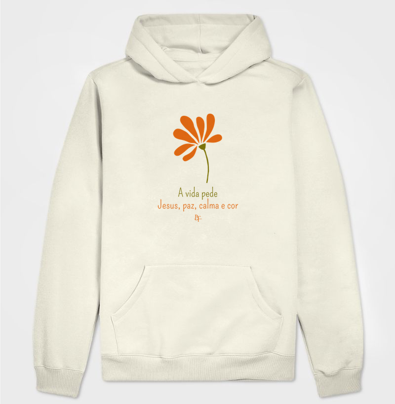 A vida pede Jesus, paz, calma e cor