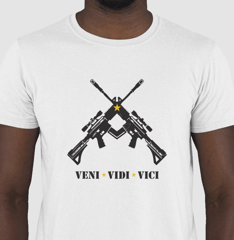 VENI VIDI VICI