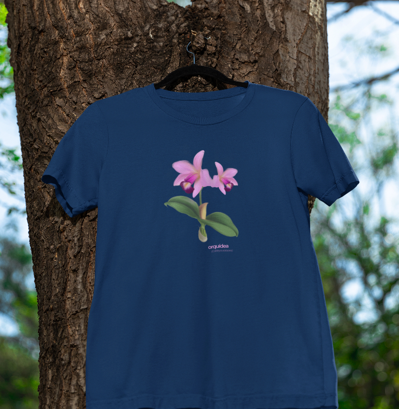 Clattleya (Orquídea)