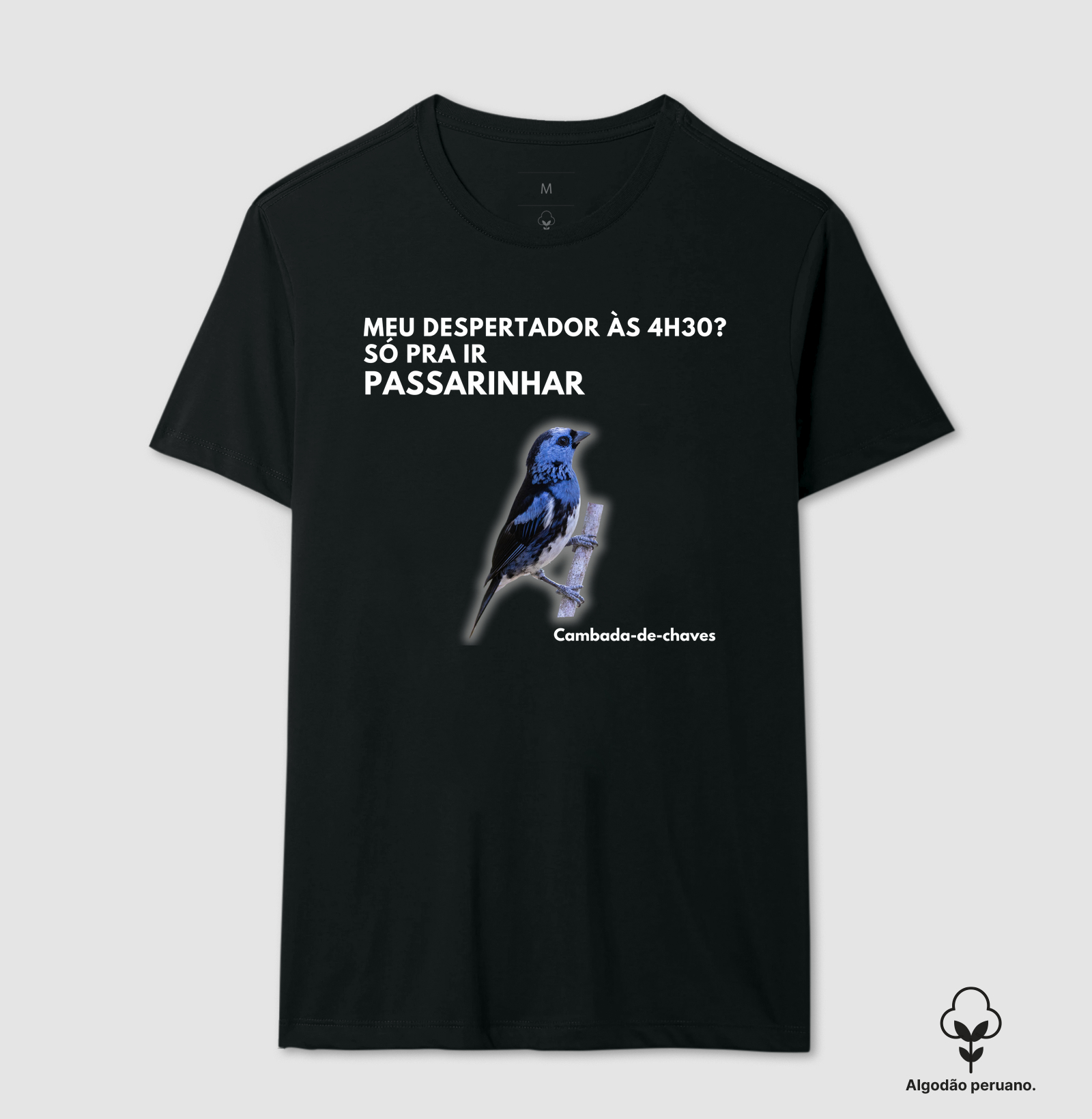 MEU DESPERTADOR ÀS 4H30