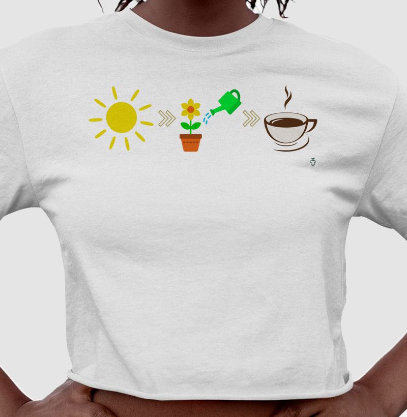 Sol - Rega - Café