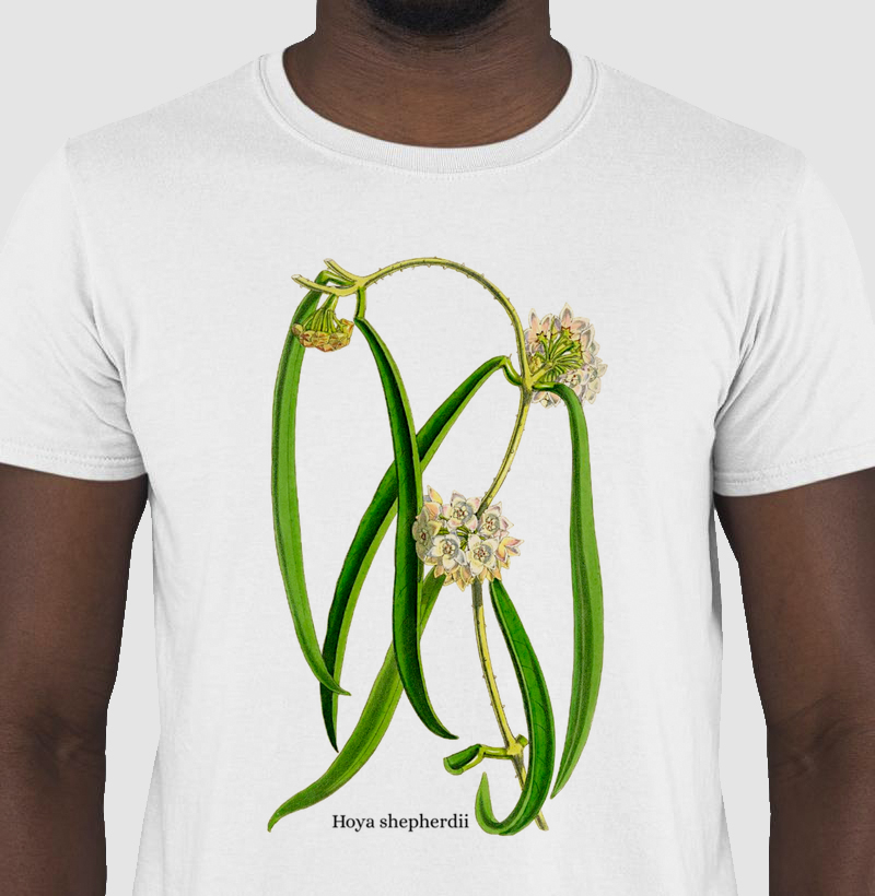 Camiseta Hoya shepherdii
