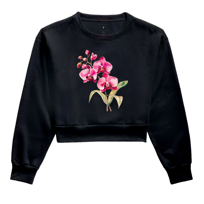Coleção Orquídeas