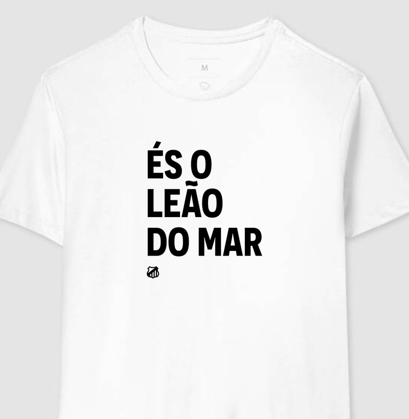 hino vila - filho(a) com irmão(ã)