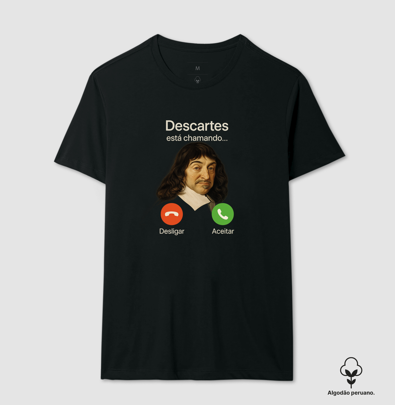 Descartes Na Linha