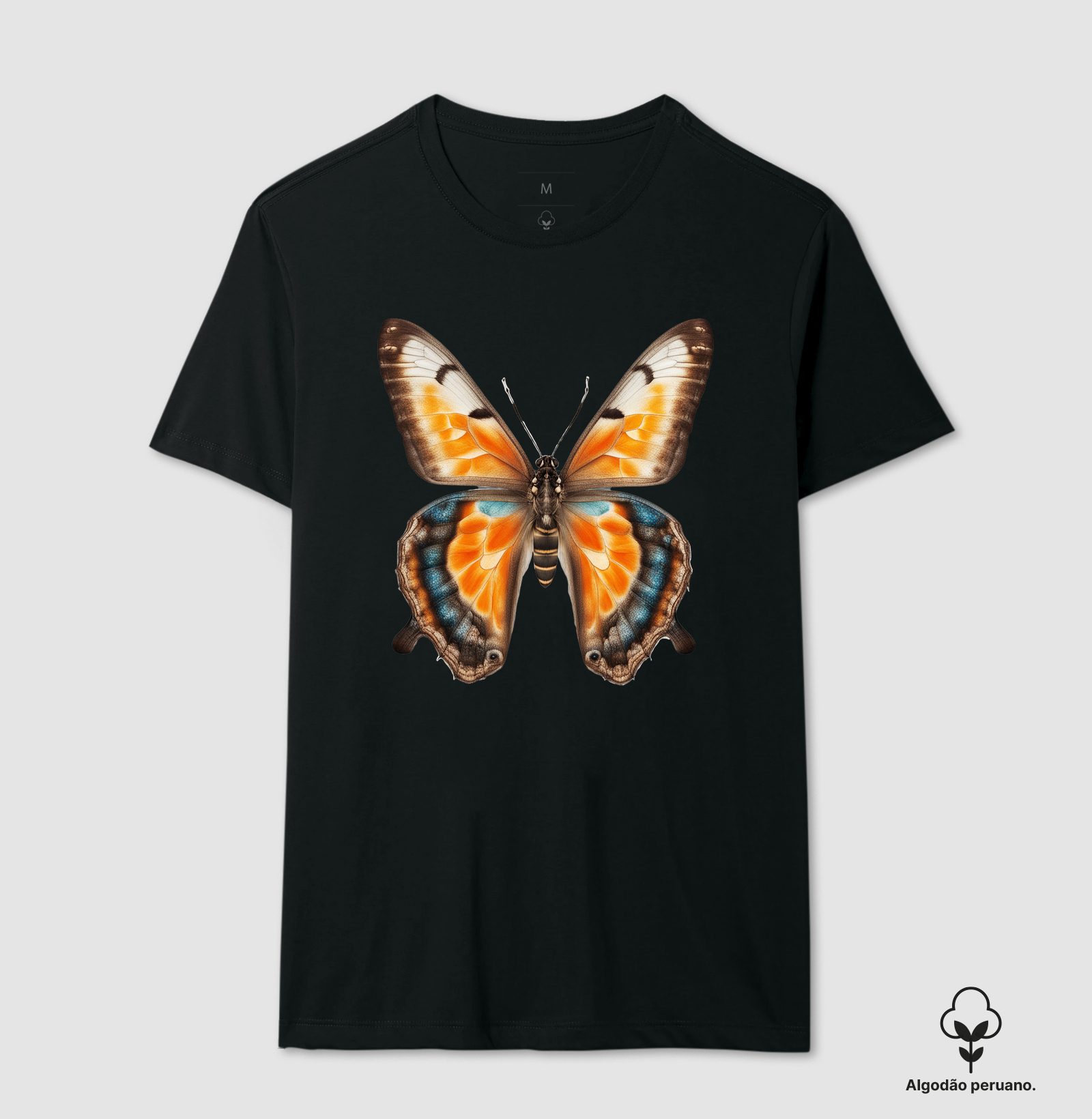 Borboleta ‘Transformação’ 