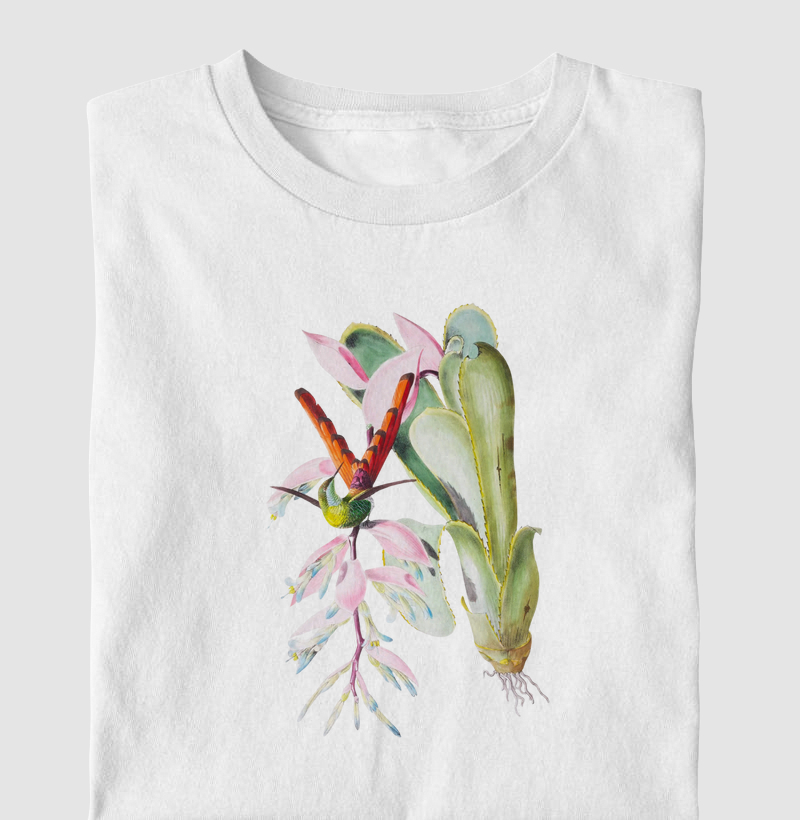Colibri Reluzente