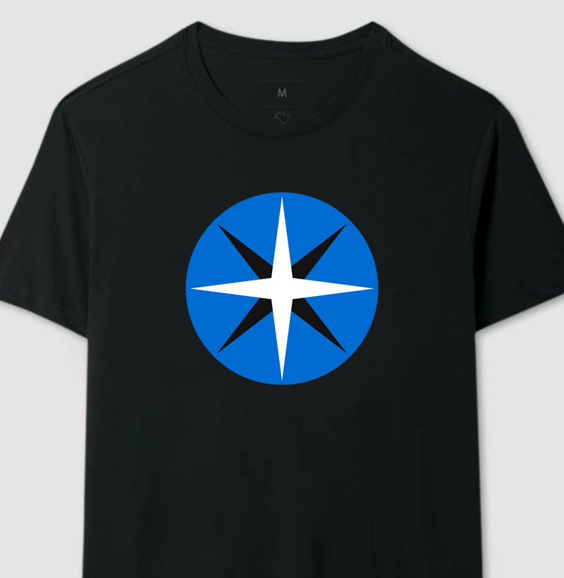 Companhias Aéreas do Brasil - VARIG (Azul Claro)