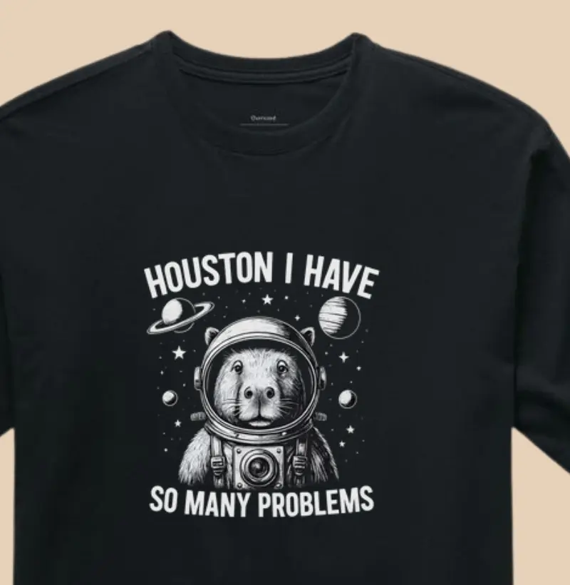 Houston I have so many problems