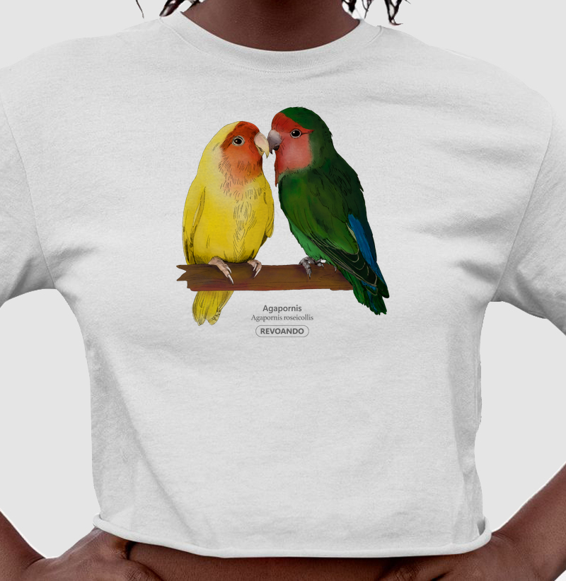 Love Friends - Agapornis roseicollis - Cropped