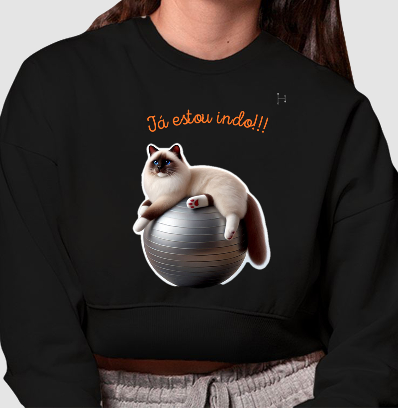 Gato - Ragdoll 