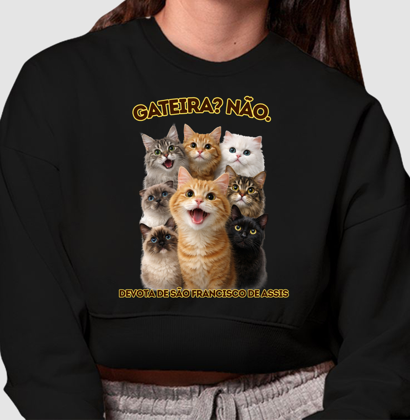 GATEIRO? NÃO. DEVOTO DE SÃO FRANCISCO DE ASSIS