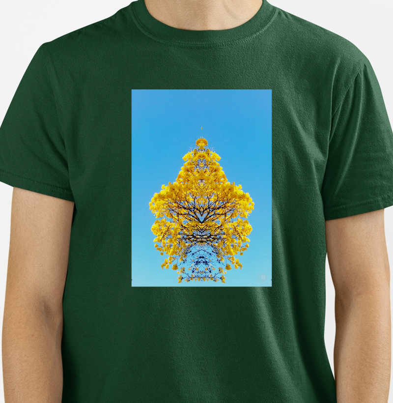 Ipê amarelo