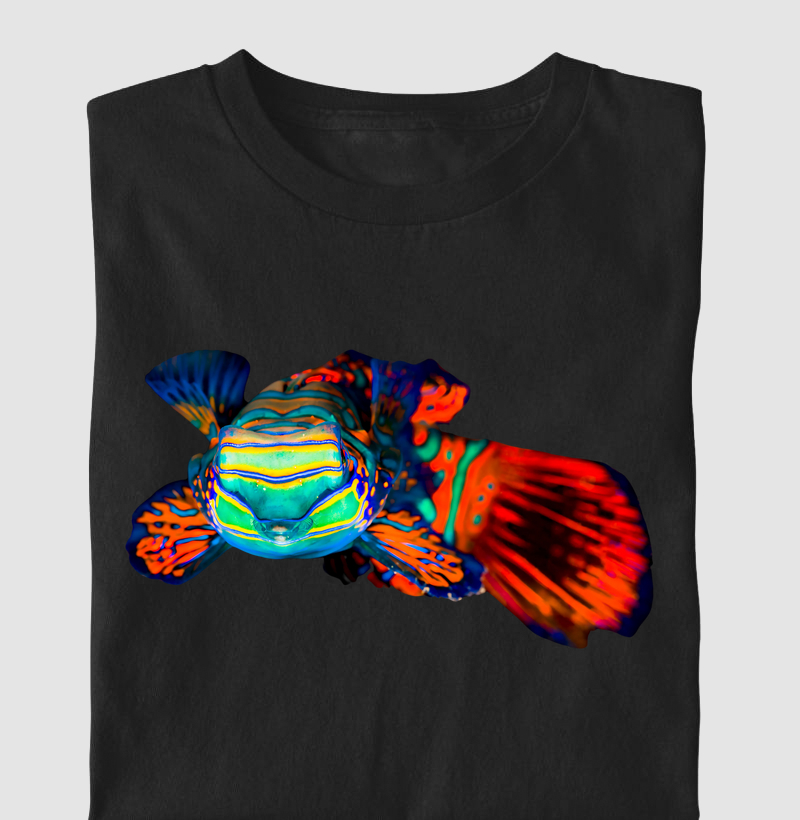 Mandarin Fish