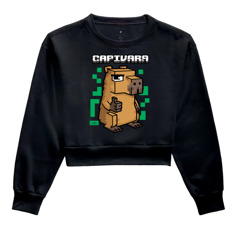 Camiseta Capycraft