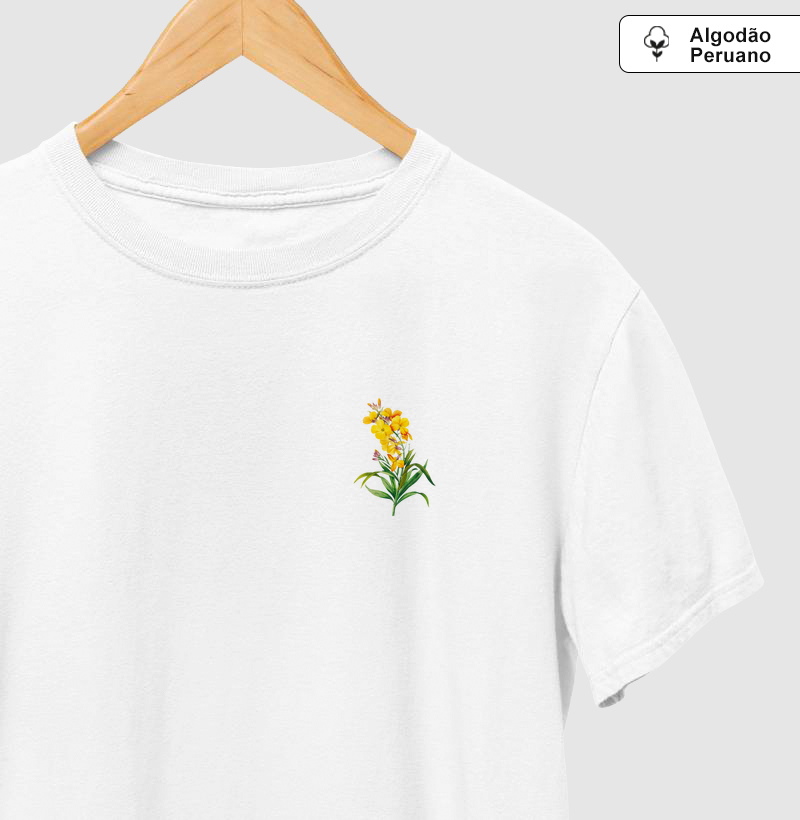 Coleção Orquídeas