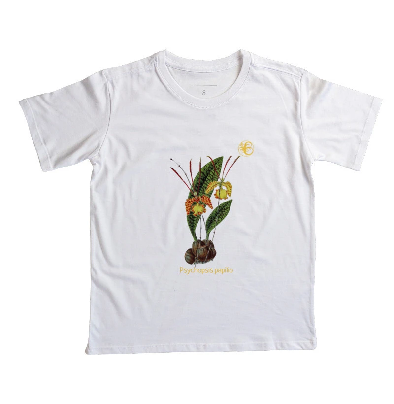 PAPILIO