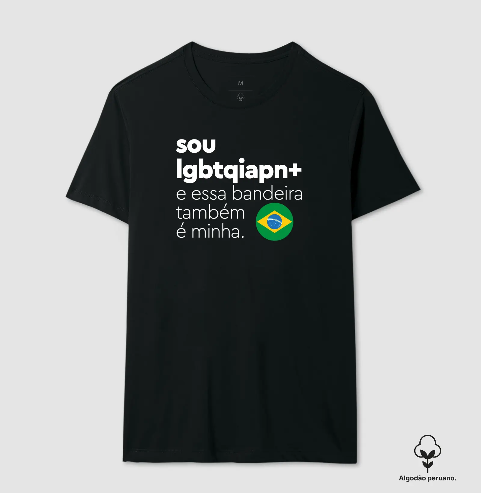 Sou LGBTQIAPN+ e essa bandeira também é minha.