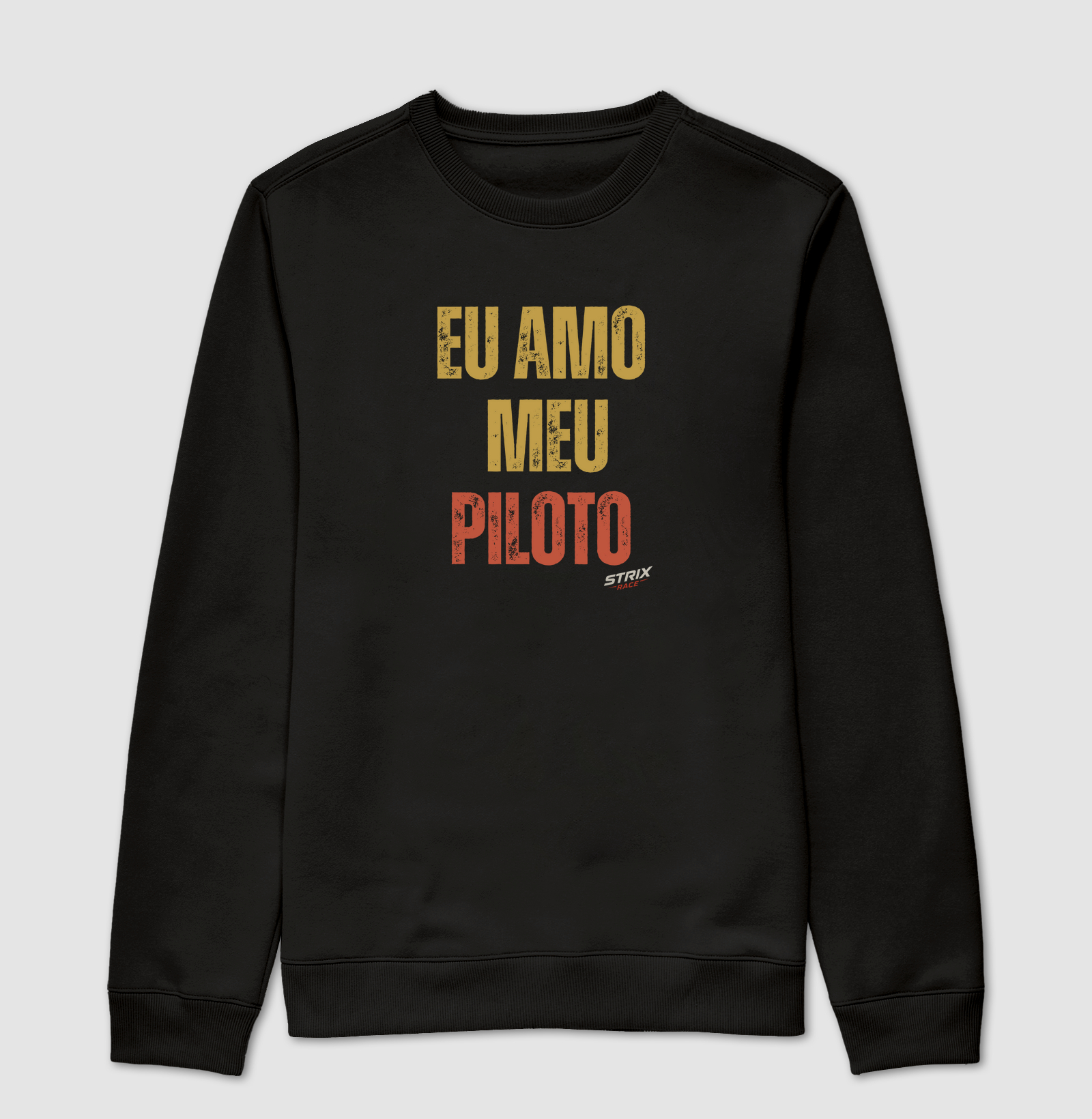Em Amo Meu Piloto