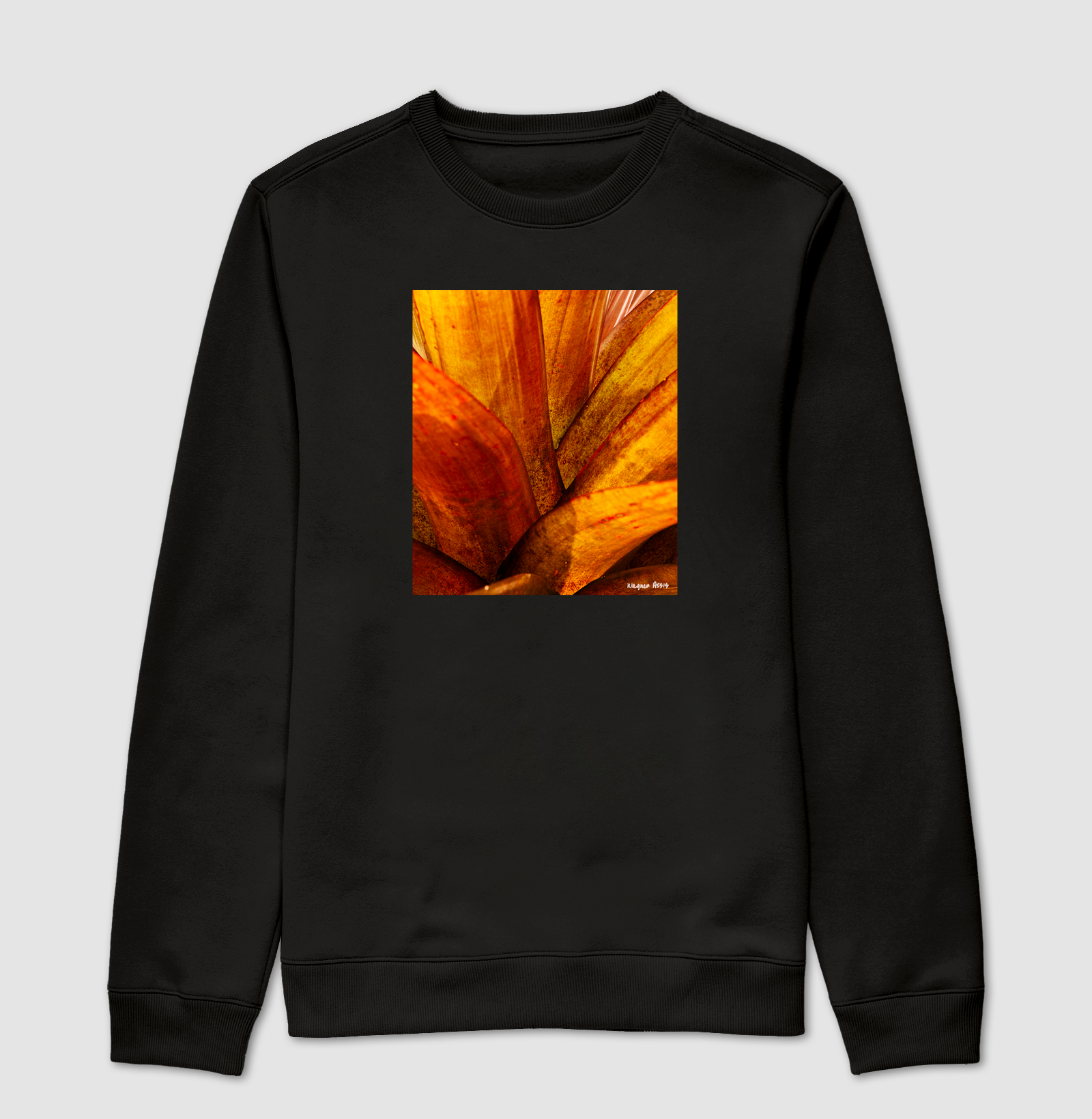 Camiseta Bromélia