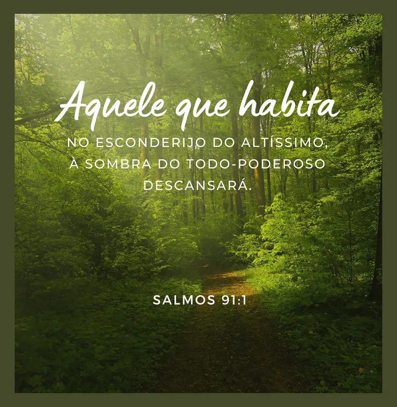 Camisetas Salmos