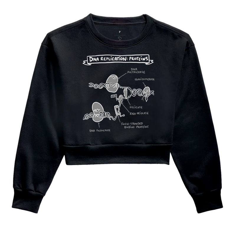 Camisa DNA Replication