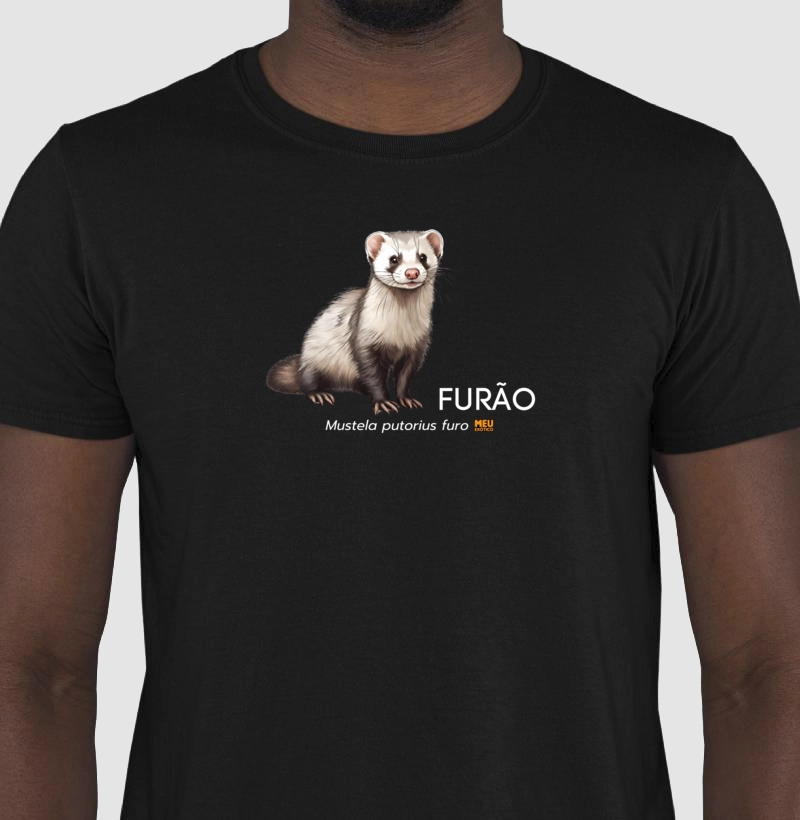 Furão