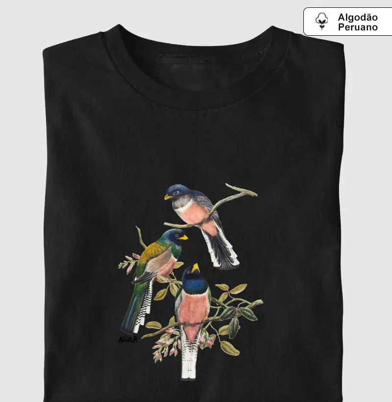 Aves aoar 