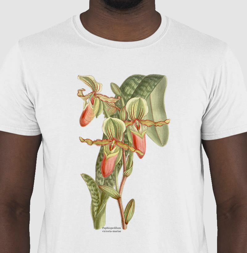 Camiseta Paphiopedilum victoria-mariae (orquidea)