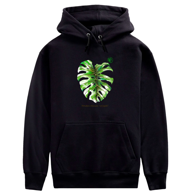 MONSTERA
