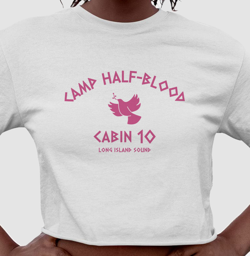 Camiseta cropped chalé 10