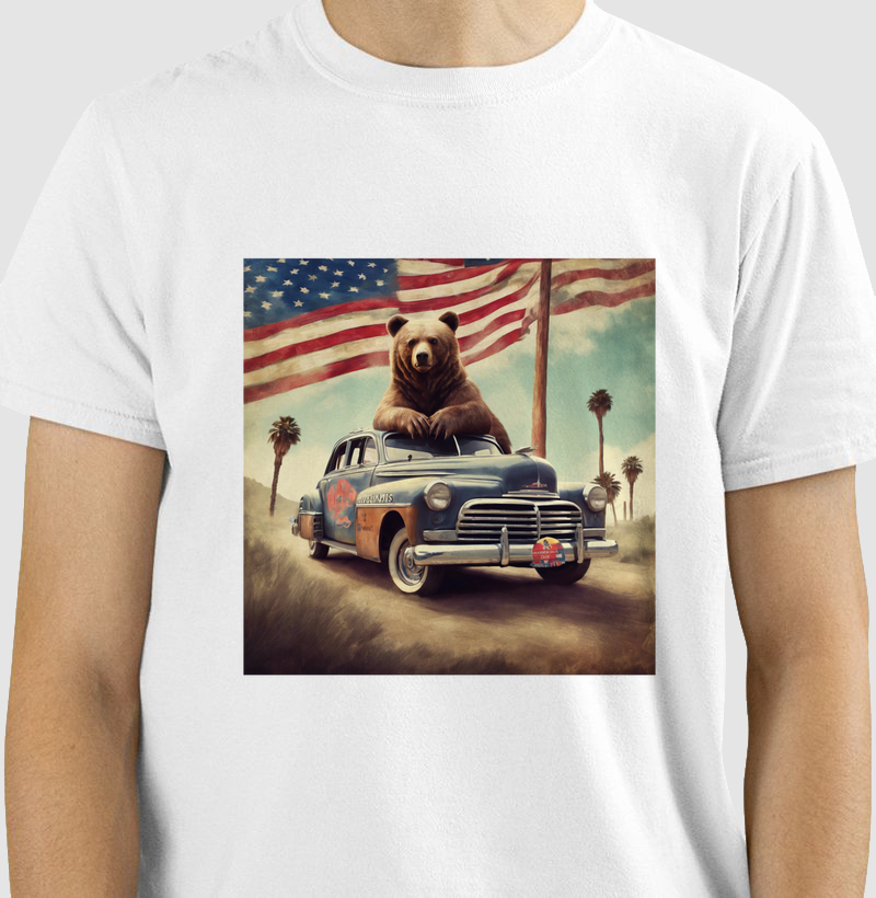 Bear USA