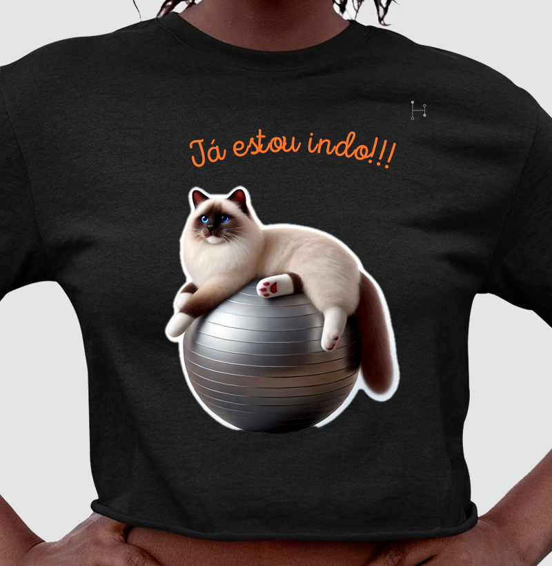 Gato - Ragdoll 