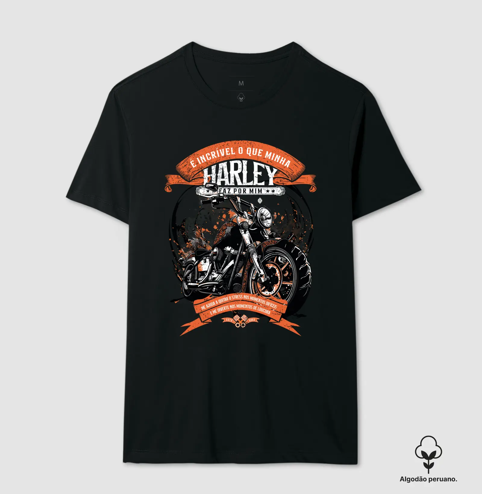 Minha Harley é incrível!