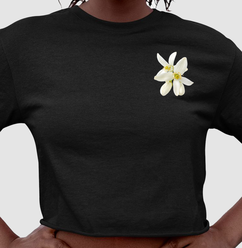 Coleção flores
