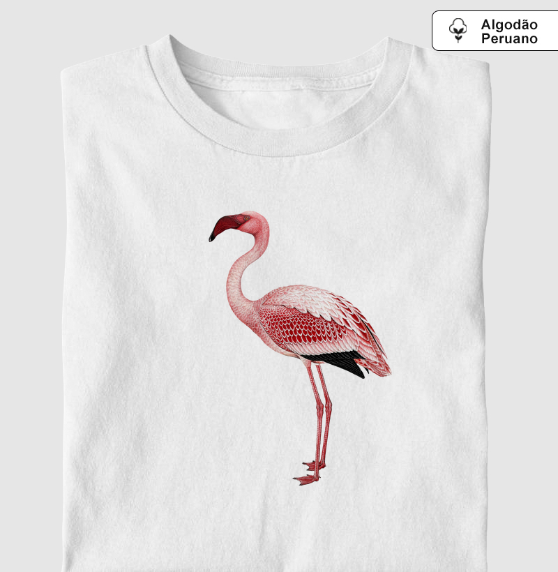 Lesser Flamingo