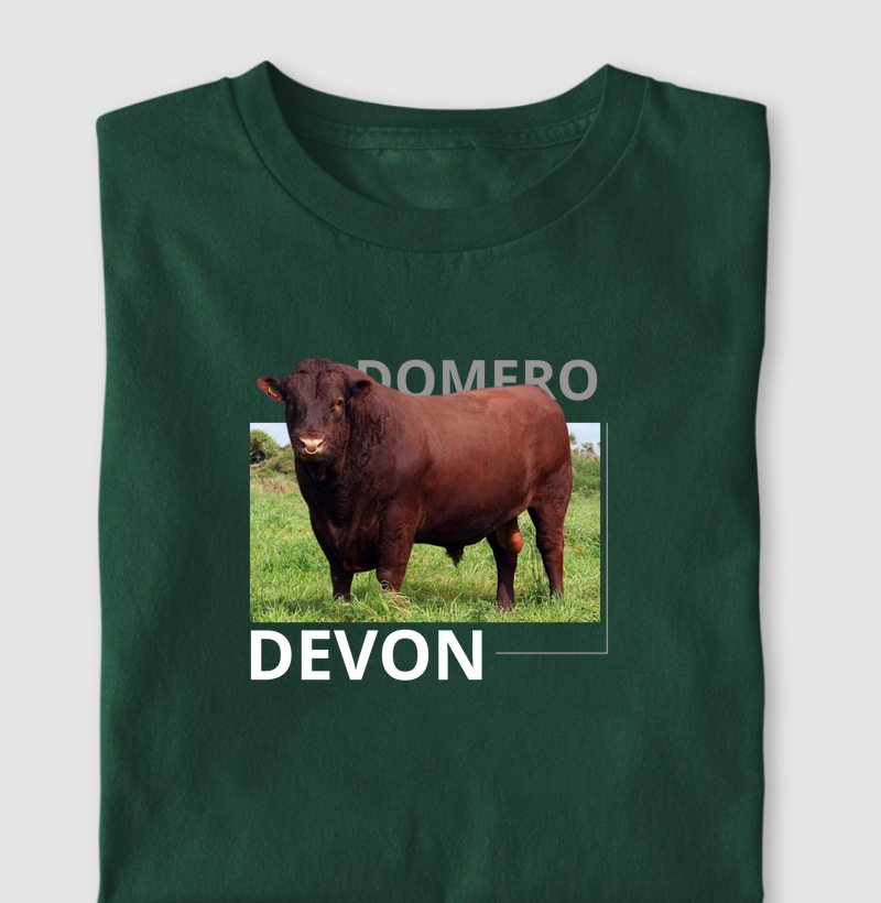 camiseta devon