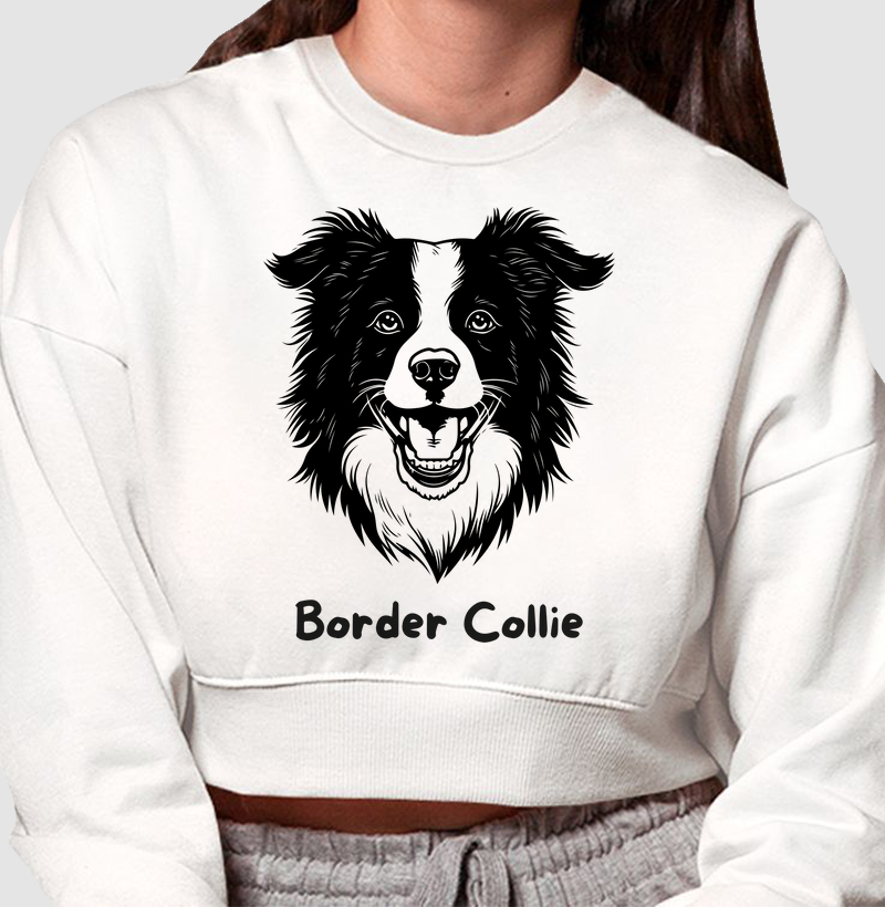 Border Collie mania