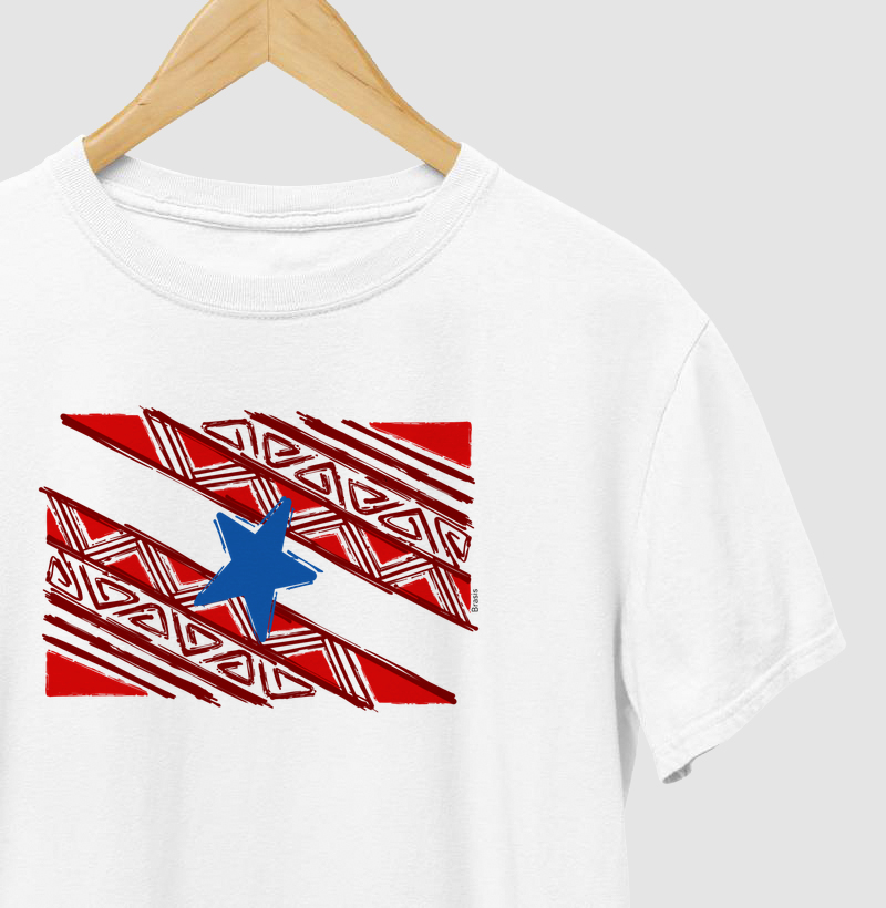 Bandeira do Pará Grafismo