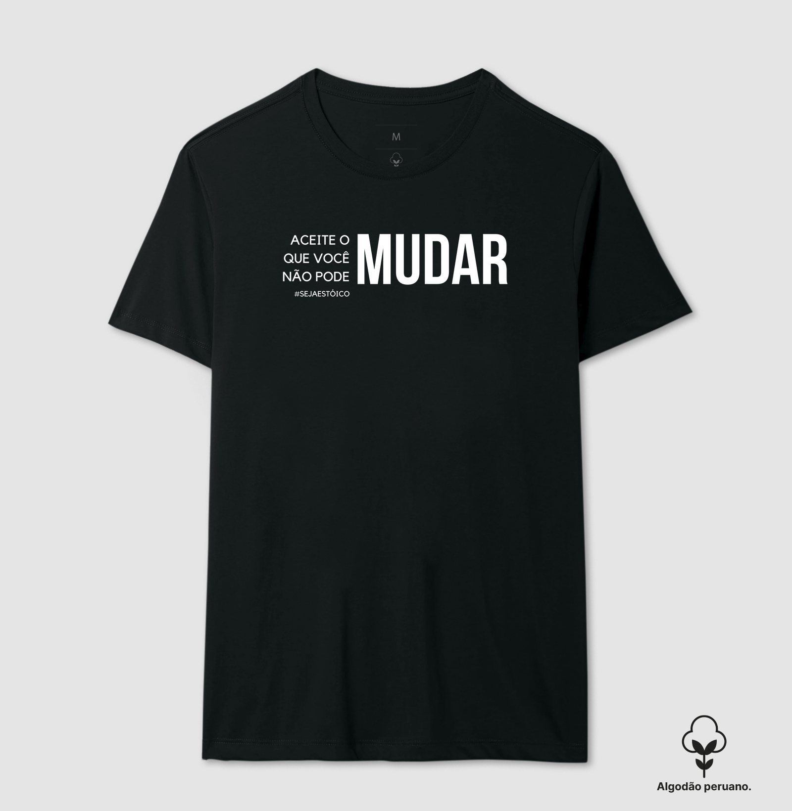 Aceite o Que Você Não Pode Mudar
