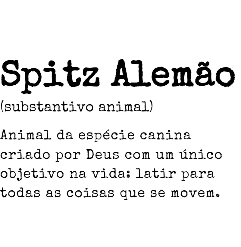 Spitz Alemão s.a. 01