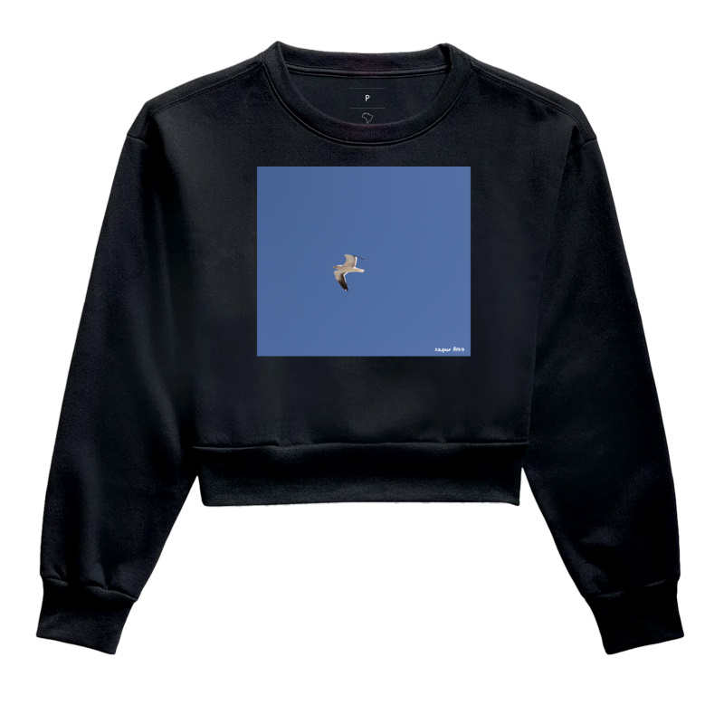 Camiseta Gaivotas #2