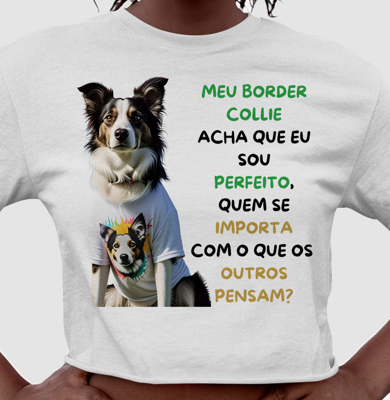 Meu border collie acha que eu sou perfeito