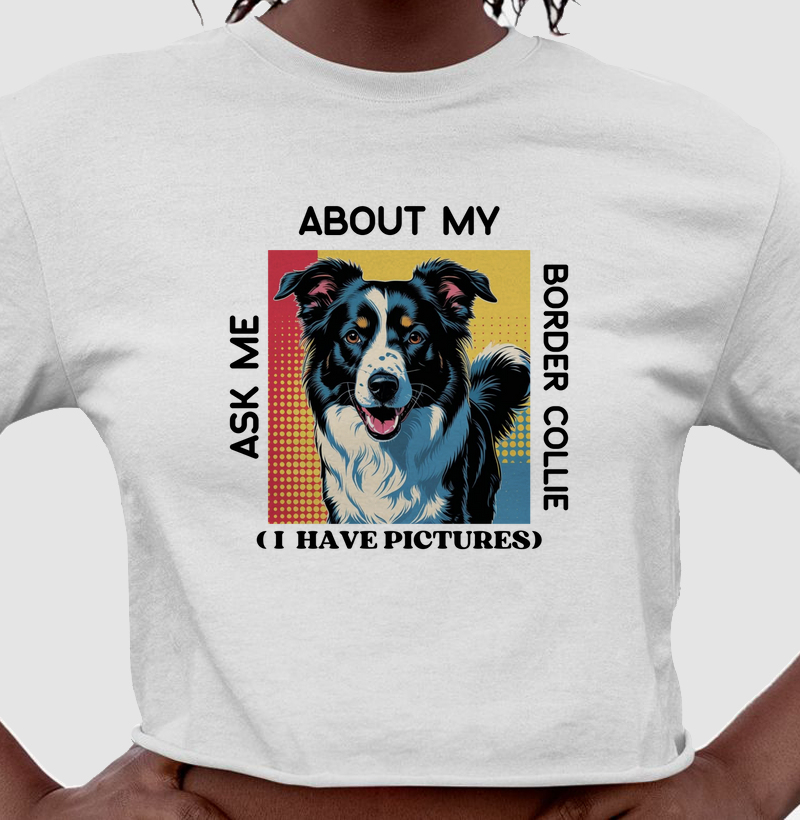 Ask me about my Border Collie