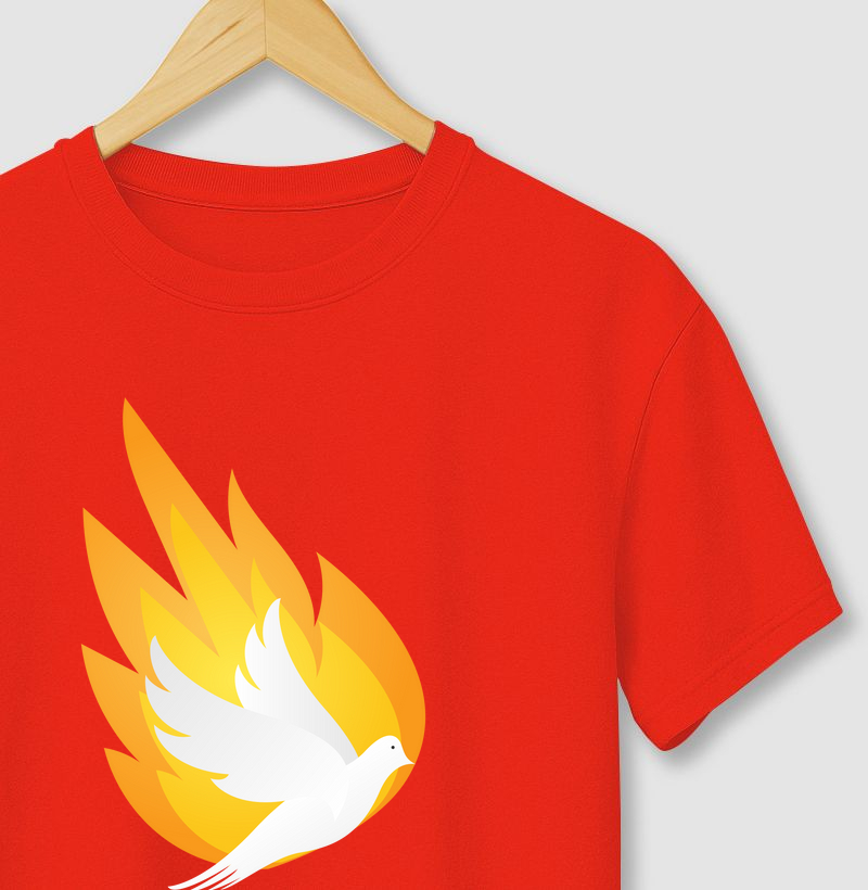 Camisa Espírito Santo