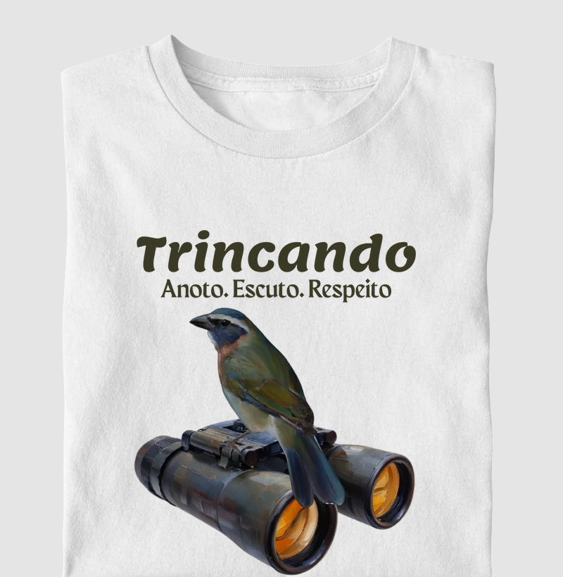 Coleção Observadores 1.0