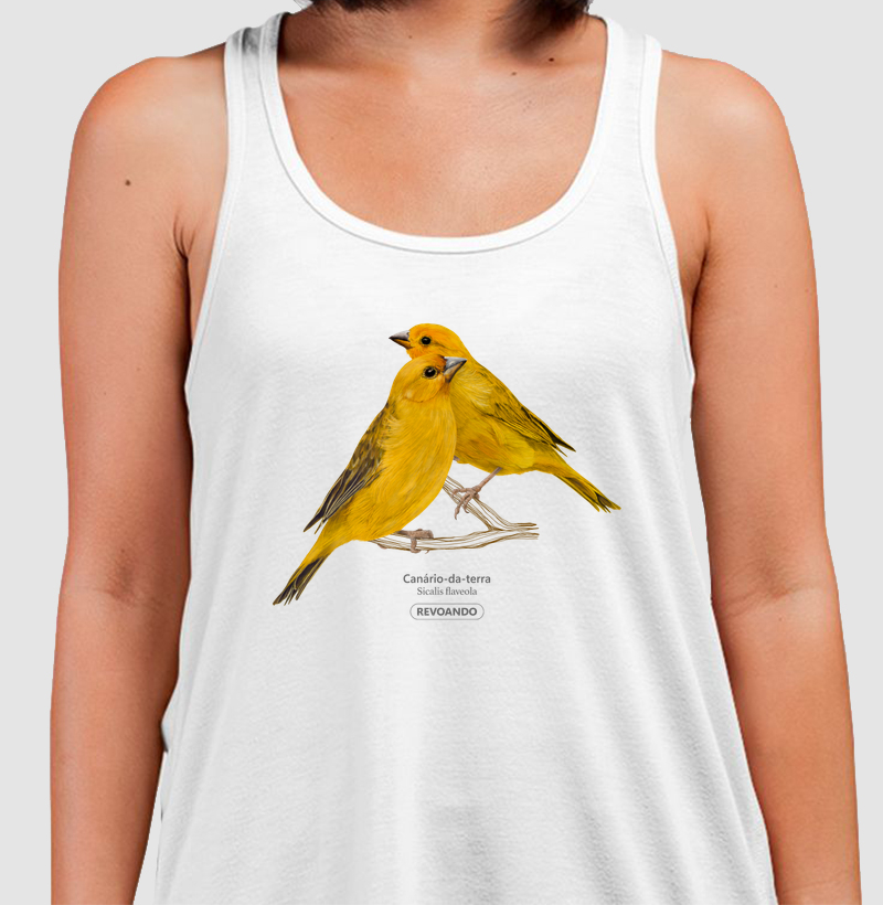 Inky Aves - Canário-da-terra II - Regata