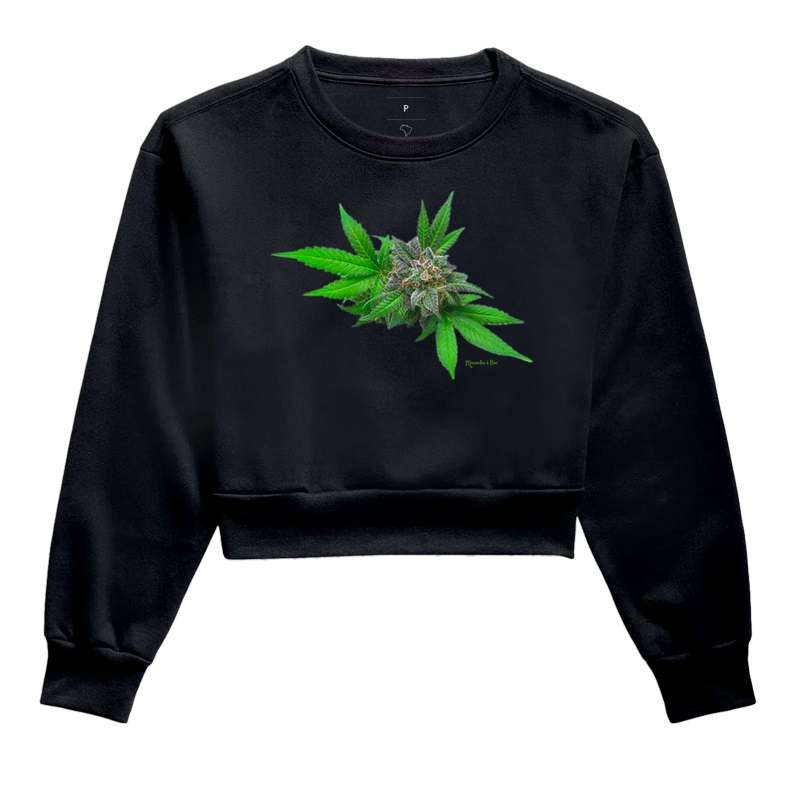Maconha é flor