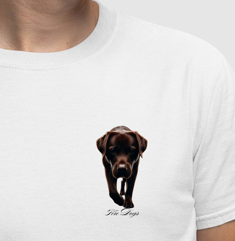Labrador